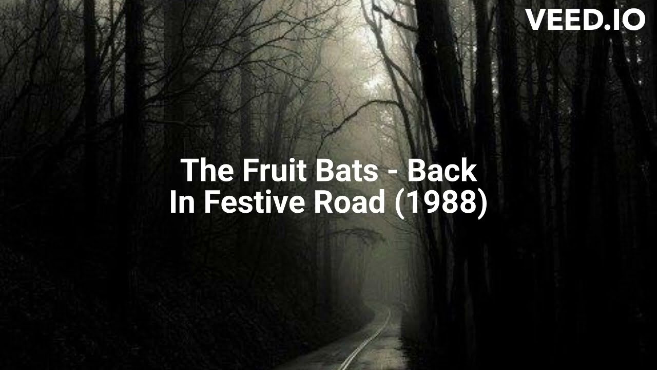 The Fruit Bats - Back In Festive Road (1988)