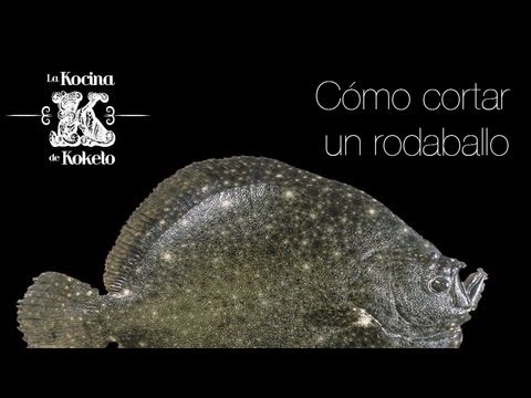 Como Cocinar El Rodaballo | Como Cortar O Preparar Un Rodaballo Koketo Youtube Como Cocinar El Rodaballo | Como Cortar O Preparar Un Rodaballo Koketo Youtube