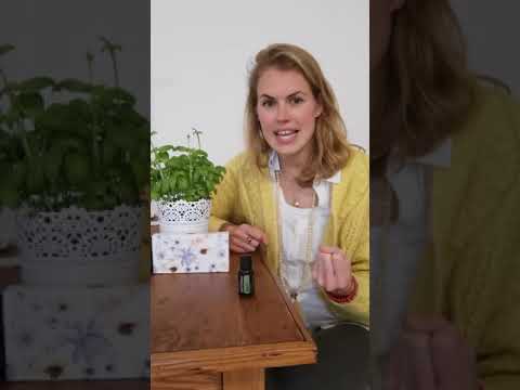 Oil Sparkle -