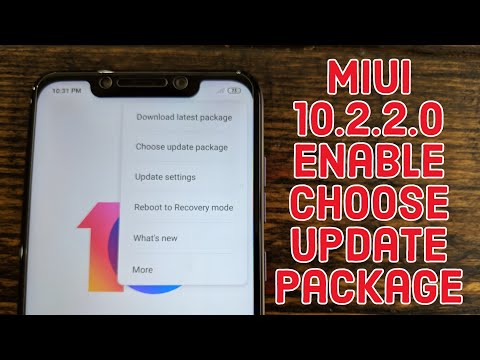 Pocophone F1 - How to Enable Choose Update Package in System Settings