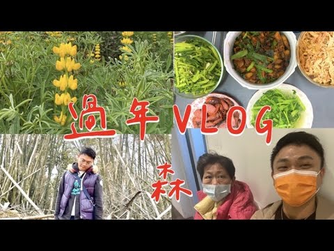 過年vlog | 製作團圓飯｜魯冰花季｜跟小屁孩玩