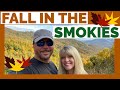 🍁 Fall in the Smoky Mountains | Franklin NC | Full Time RV!