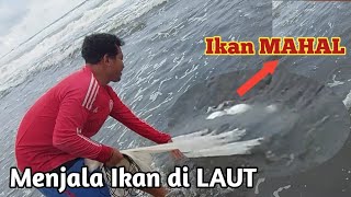 Menjala Ikan di Laut Hasilnya MANTAP!!! Dapat Ikan Mahal