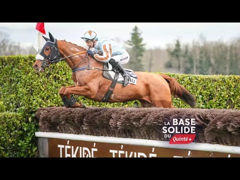 , Aujourdhui Tiercé Quarté Quinté Auteuil , Aujourdhui Tiercé Quarté Quinté Auteuil
