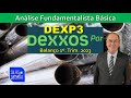 DEXP3 - DEXXOS PARTICIPAÇÕES S/A. ANÁLISE FUNDAMENTALISTA BÁSICA. PROF. SILAS DEGRAF