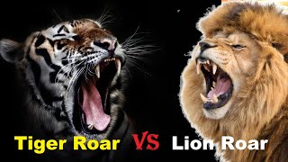 Tiger Roar VS Lion Roar - Tiger Roar VS Lion Roar Which is The Best