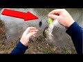 WHAT EVERY FISHERMAN SHOULD DO TO INCREASE SUCCESSFUL HOOKUPS!