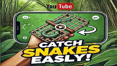 How to Catch Snake | Bamboo Snake Trap | bamboo | snake trap kill |  snake trap | snake catching