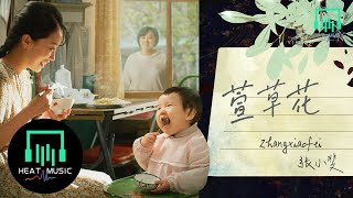 張小斐 - 萱草花「《你好，李煥英》主題曲「好像我 從不曾 離開妳的身旁」【動態歌詞Lyrics】