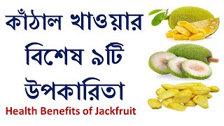 kathaler upokarita/কাঁঠালের উপকারিতা/kathaler gunagun/Best Bangla Videos/Health benefits ofJackfruit