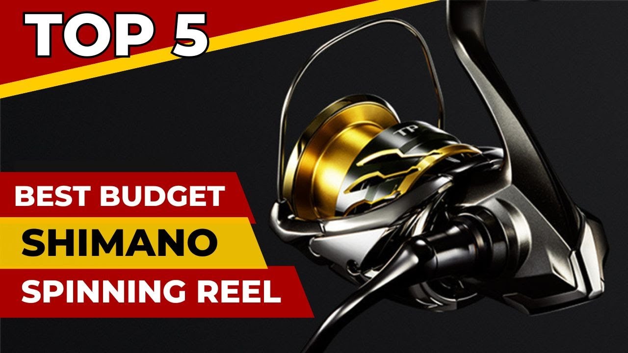 Top 5 Shimano Spinning Reel Fishing - Low Budget Gadget 2024 - YouTube