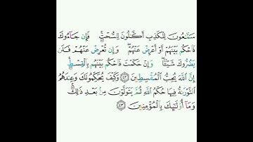 5 - سورة المائدة ٤٢-٤٣ - شيخ أبو بكر الشاطري