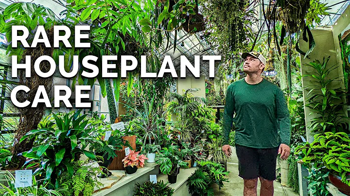 Secret Houseplant Care Tips From a Master Houseplant Grower