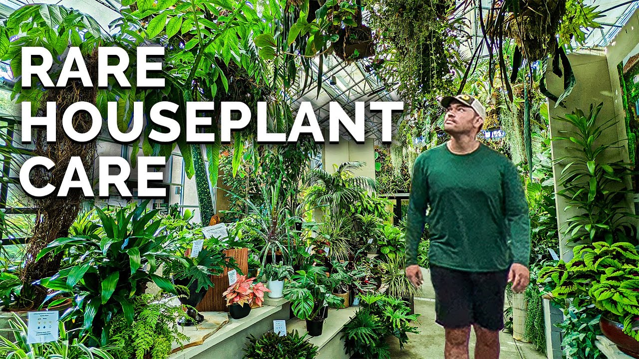 Secret Houseplant Care Tips From a Master Houseplant Grower