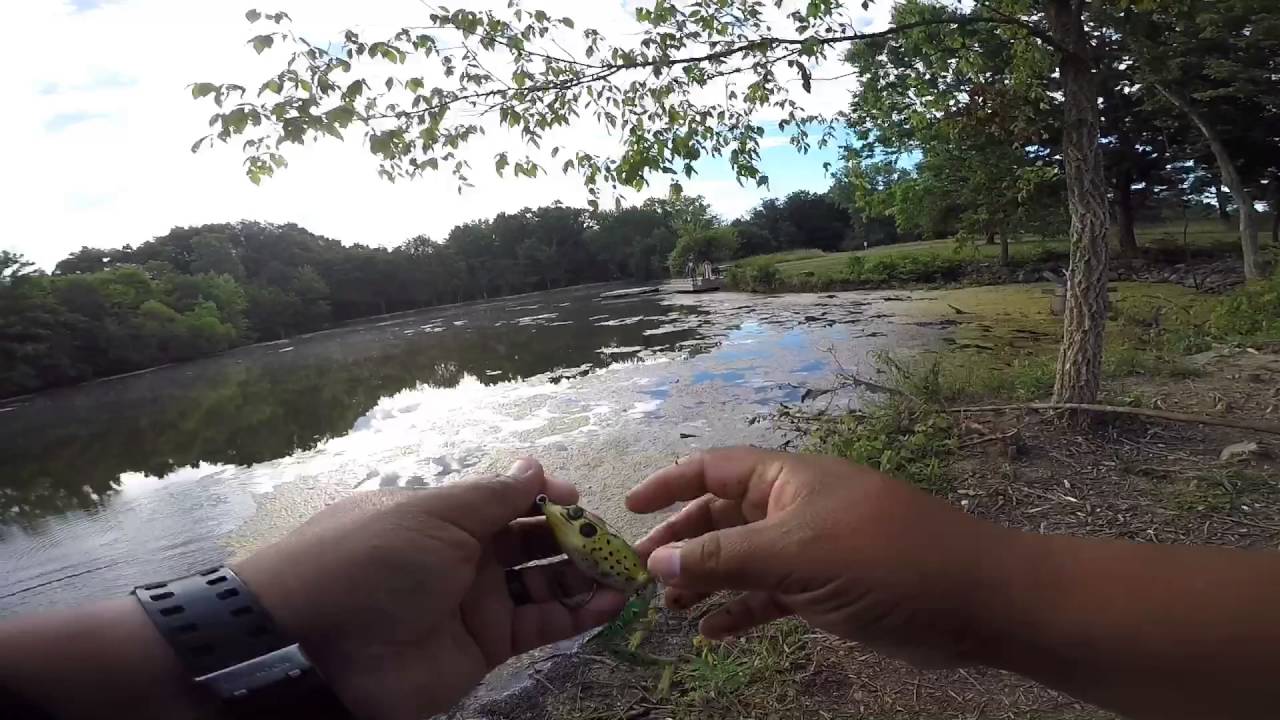 Bass fishing in Columbus - YouTube