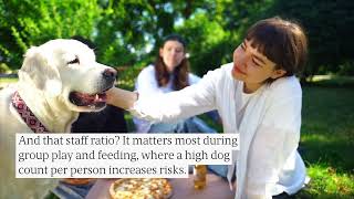 How To Choose a Pet Boarding Facility: Health, Safety & Essential Checklist