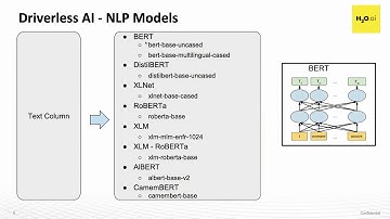 State of The Art NLP Models in H2O Driverless AI 1.9