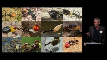 TERN 2023 Science Symposium Day 1 - Session 3: Land management for sustainable ecosystem services