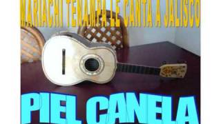 Video thumbnail of "piel canela"