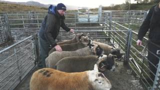 Angus Anderson - Heasta, Isle of Skye