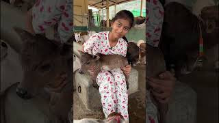 Do you want one friend like this ? 👇1-2 feet height #youtube #viral #reels #miniature #trend