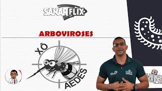 Arboviroses (Parte 1) - Dengue e Febre Amarela - Módulo de Infectologia - Aula SanarFlix