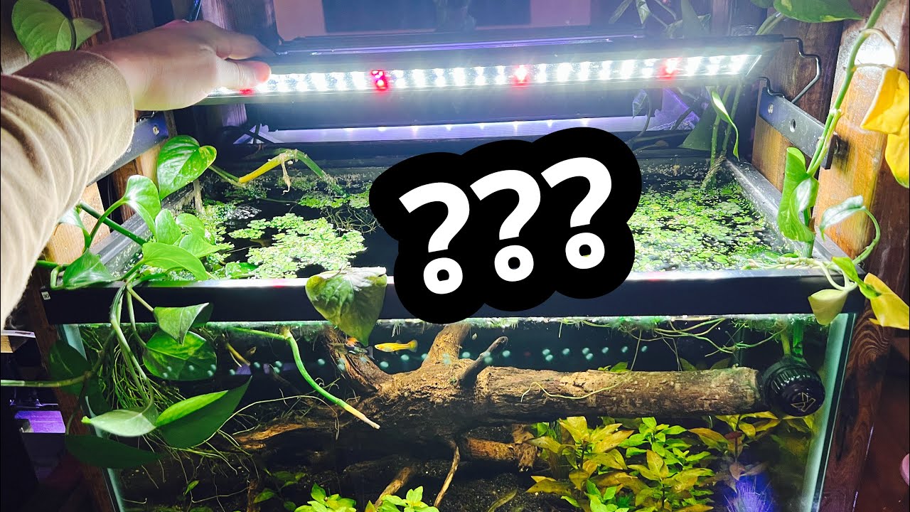 How to diagnose why is my led aquarium light blinking