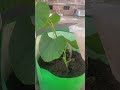 #nature