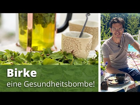 Video: Birke, Medizinische Eigenschaften Und Verwendung In Der Gartenlandschaft