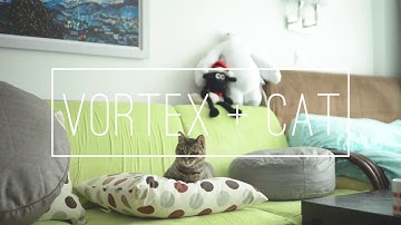 Vortex: A Day with Cat