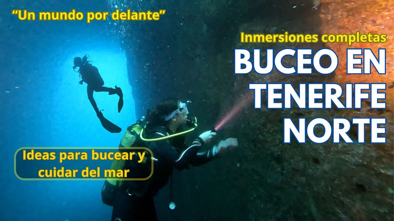 Buceo en TENERIFE- BUCEO EN EL TUBO