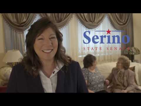 <p>A campaign ad for state Sen. Sue Serino of Hyde Park who represents Putnam and Dutchess counties. Serino, a Republican, was re-elected on Tuesday, Nov. 6.</p>