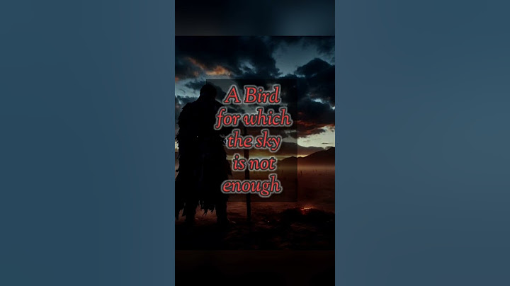 Kholi's New fav song, English translation