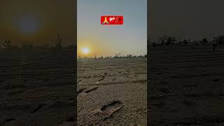 #remix #punjabisong #rajasthani #2मुखी #11सितंबर #song #song #villagelife #villagelife #दंगल2 #mo