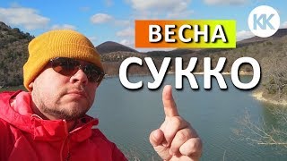 ПЛАТНОЕ озеро Сукко. Кипарисы в воде! Путешествуем на автомобиле. Анапа рядом. Капитан Крым