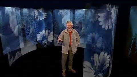 Biomimicry: Learning From Nature, Part 1 (Bullfrog Films clip)