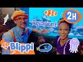 Blippi and Meekah&#39;s Amazing Aquarium Fun! | Animals for Kids | Funny Cartoons | Learn about Animals