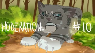 Moderation | 1 week Ashfur and Mapleshade MAP | part 10