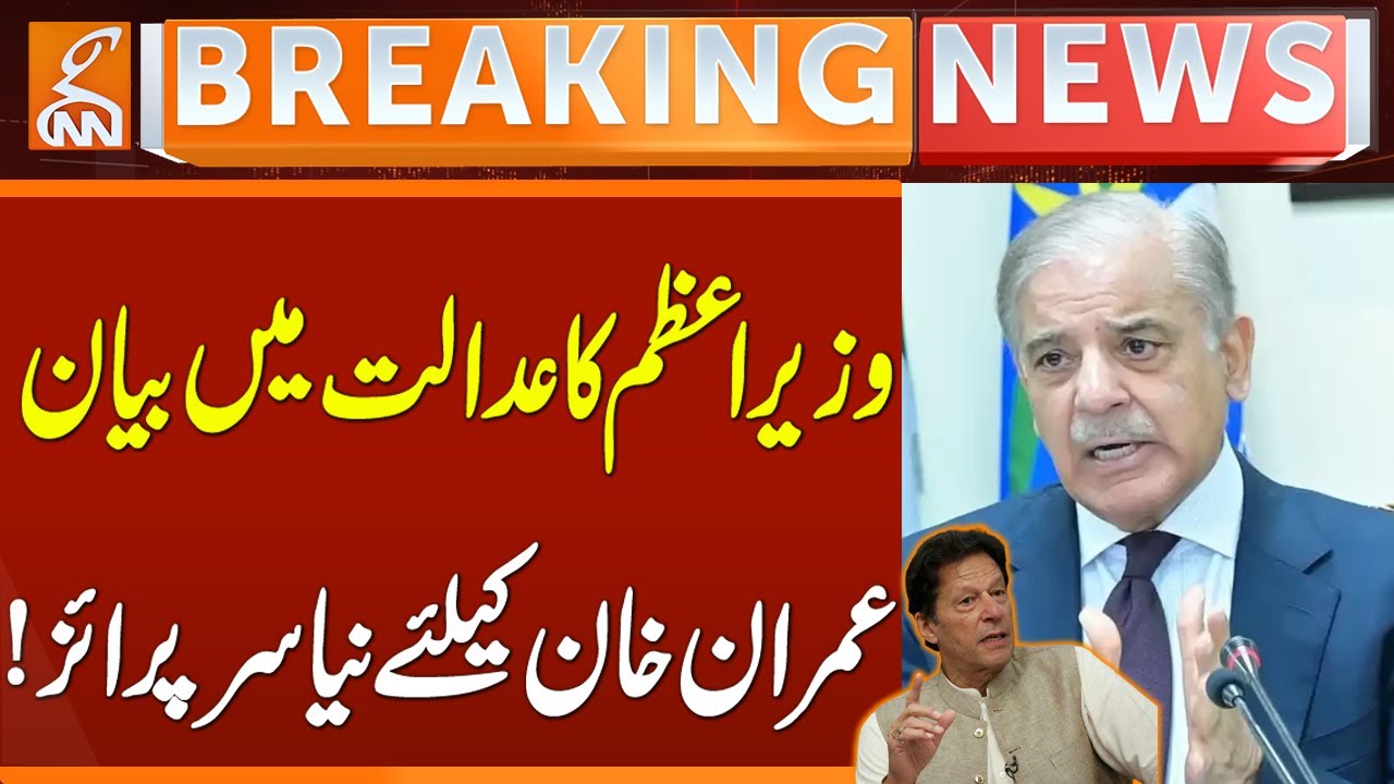 Rs 10 Billion Damages Case Against Imran Khan | PM Shahbaz Sharif Statement in Court | GNN