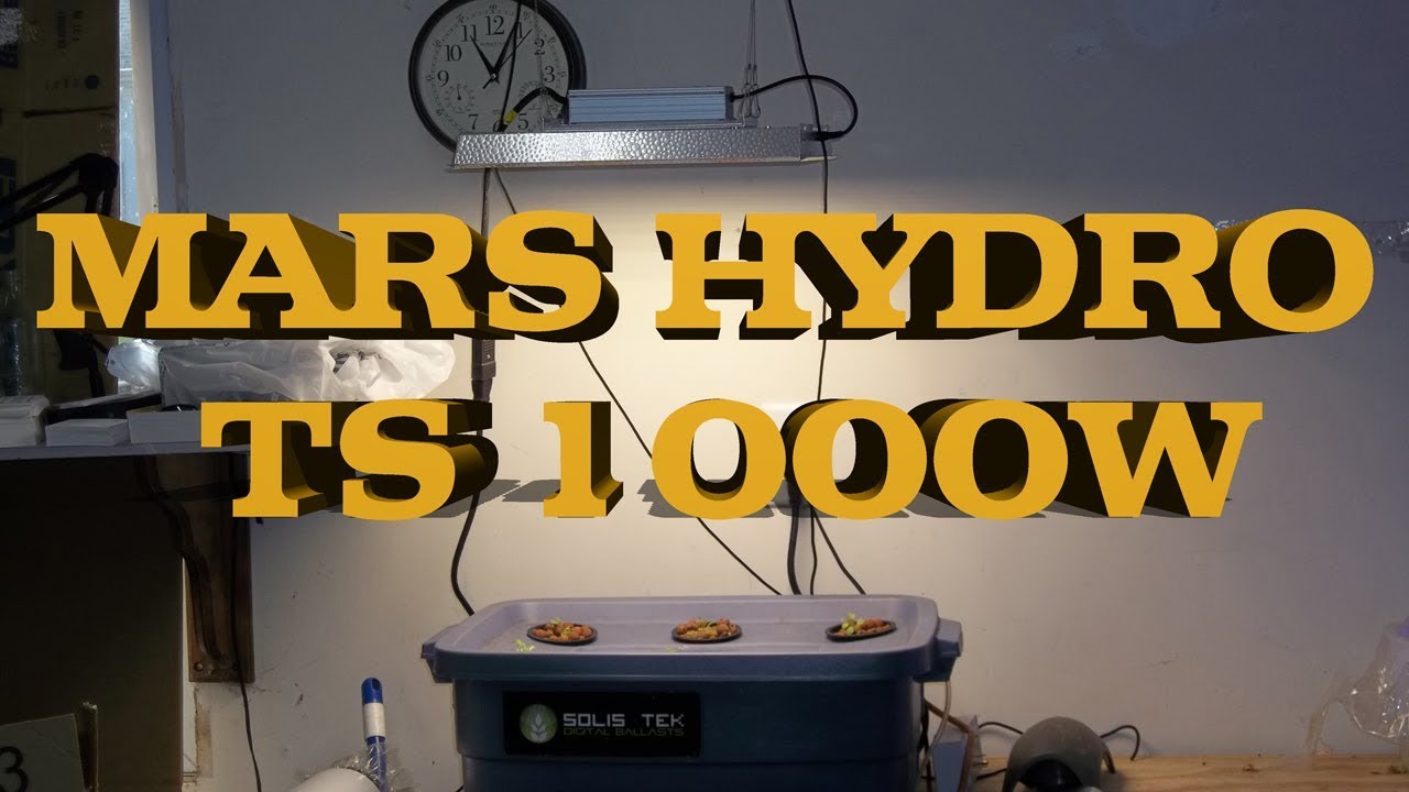 Testing The Newest LED Grow Light By Mars Hydro - The TS 1000W White Spectrum - No Fans - Dimmable