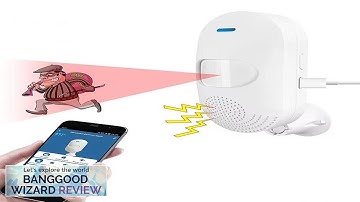 Tuya WiFi Home Burglar Sensor Infrared Alarm Motion Detector PIR Sensor Smart Review