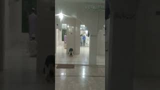 Nmaz fajer Allah wali Msjid YouTubeshort shortfeed beautifulvoice short mosque