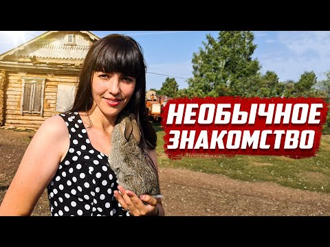 К чему привело необычное знакомство | Оренбургская обл, Бугурусланский р-он, д.Григорьевка