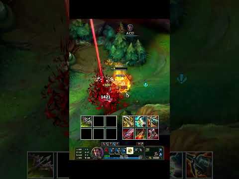 1 ITEM DARIUS