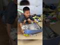 &quot;Failed to Lift Giant Cat, This Kid Ended Up Sweating!&quot; #cat #petsunited #funnycats #pets