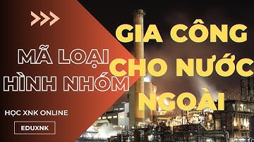 Các loại hình thuộc nhóm nhập gia công cho thương nhân nước ngoài