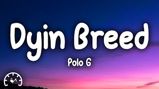 Polo G - Dyin Breed (Lyrics)