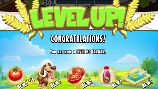 Hay Day · Let's Play #76 · Level 30