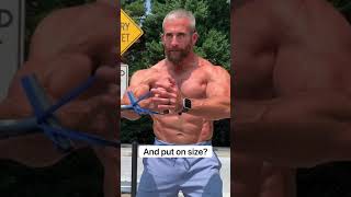 Can Bands Build Muscle And Size?