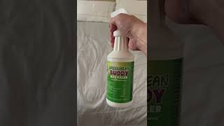 I Found Bed Bugs in My Mattress… This Is What Happened